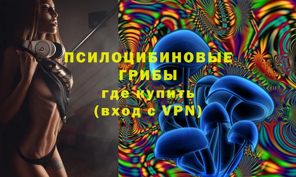 твердый Алексеевка
