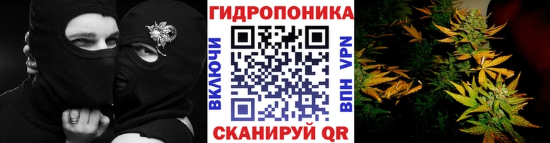 закладка  блэк спрут ССЫЛКА  Каннабис Bruce Banner  Ардатов 